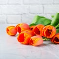 Spring background with orange tulips. women, mother day, greeting card