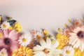 spring background, pastel coloured flowers, Generative Ai