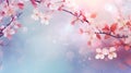 Spring background with pink blossoms. Horizontal banner with sakura flowers on a blue background. Beautiful spring Royalty Free Stock Photo