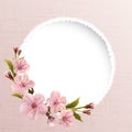 Spring background with pink cherry flowers