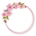 Spring background with pink cherry flowers