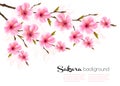 Spring background with Sakura japan cherry branch.