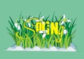 Spring Background with Snowdrops and text