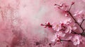 Spring background with a spring of cherry blossoms