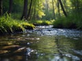 Spring background Stream of water in the forest. Royalty Free Stock Photo