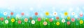 Spring Background 007 Royalty Free Stock Photo