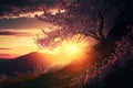 Spring background with a view of a cherry blossom and the setting sun.