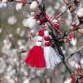 Spring background with white blossom and Bulgarian spring symbol martenitsa. Spring flowers and martisor. Greeting card