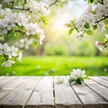 Spring background with white blossoms and white wooden table. Spring apple garden on the background Royalty Free Stock Photo