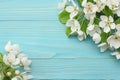 Spring background with white flowers blossoms on blue wooden background. top view Royalty Free Stock Photo