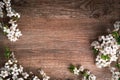 Spring background with white flowers blossoms on wooden background. Royalty Free Stock Photo