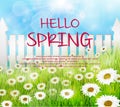 Spring background with wooden fence and daisies flowers in the grass Royalty Free Stock Photo