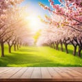 Spring background with wooden Natural template for product display with cherry blossoms bokeh and Empty wooden table in