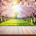 Spring background with wooden Natural template for product display with cherry blossoms bokeh and Empty wooden table in