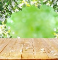 Spring background