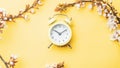 Spring time background. May flowers and April floral nature with alarm clock on yellow. Branches of blossoming apricot Royalty Free Stock Photo