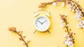 Spring background yellow with flower blossom and April floral nature in beautiful scene with blooming tree, alarm clock Royalty Free Stock Photo