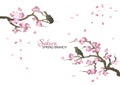 Spring baground with sakura branches and birds. Spring poster or greeting card with blooming sakura.