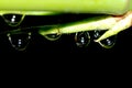 Spring bamboo waterdrop Royalty Free Stock Photo