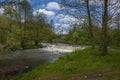 Spring on the banks of the Warta River, Poland. Royalty Free Stock Photo