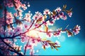 Cherry blooming. Spring blossom tree pink flowers and abstract background with bokeh sunlights, Generative AI Royalty Free Stock Photo