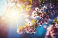 Spring banner, branches of blossoming cherry against background of blue sky. generative ai