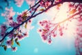 Cherry blooming. Spring blossom tree pink flowers and abstract background with bokeh sunlights, Generative AI Royalty Free Stock Photo