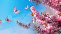 Spring banner, branches of blossoming cherry against background of blue sky