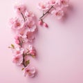 Spring banner, branches of blossoming cherry against background.Pink sakura flowers, dreamy romantic image spring