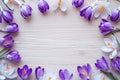 a spring banner, delicate purple and white crocuses lie in the form of a frame on a light wooden background, and in the center