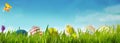 Spring banner with Easter eggs in a meadow Royalty Free Stock Photo