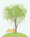 Spring banner with green tree, bench and cat Royalty Free Stock Photo