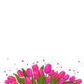 Spring banner with pink tulips for text. Vector template with flowers for design, frame, card Royalty Free Stock Photo
