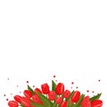 Spring banner with red tulips for text. Vector template with flowers for design, frame, card Royalty Free Stock Photo