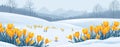a spring banner,a snow-covered clearing on a mountain landscape with the first yellow crocuses,a spring design concept Royalty Free Stock Photo