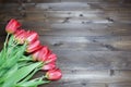 Spring banner template with several red tulips on brown wooden planks background. Womens day, spring, love, romantic, flowers,