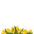 Spring banner with yellow tulips for text. Vector template with flowers for design, frame, card Royalty Free Stock Photo