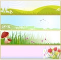 Spring Banners Royalty Free Stock Photo