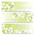 Spring banners with blossoming tree brunch Royalty Free Stock Photo