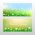 Spring banners with grass and white flowers