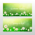 Spring banners with grass and white flowers