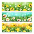 Spring Banners Royalty Free Stock Photo