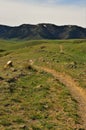Casper Mountain Wyoming Springtime Trail