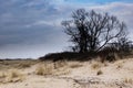 A spring beach on the Sobieszewo Island Royalty Free Stock Photo