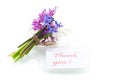 Spring beautiful flowers of a hyacinth with a thank you card Royalty Free Stock Photo