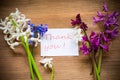 Spring beautiful flowers of a hyacinth with a thank you card Royalty Free Stock Photo