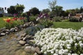 Spring in beautiful garden, tulips and saxifrage flowering on garden creek