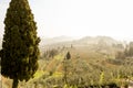 Spring beautiful landscape, early morning in Tuscany, Italy Royalty Free Stock Photo