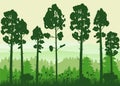 Spring beautiful landscape, forest, silhouettes of tree trunks, green color of foliage. Panorama, horizon, nature