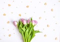 Spring beautiful tulip flowers on soft pastel background Royalty Free Stock Photo